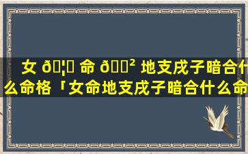 女 🦄 命 🌲 地支戌子暗合什么命格「女命地支戌子暗合什么命格好」